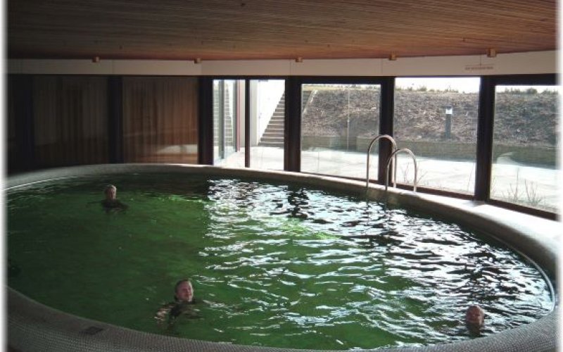 schwimmbad1